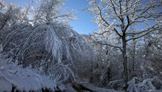 late november snow