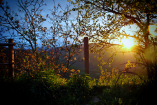 sunset in barbugli