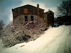 varini - winter 2013